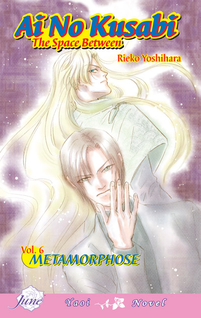 Ai no Kusabi Vol.6: Metamorphose (Yaoi Novel) [US]