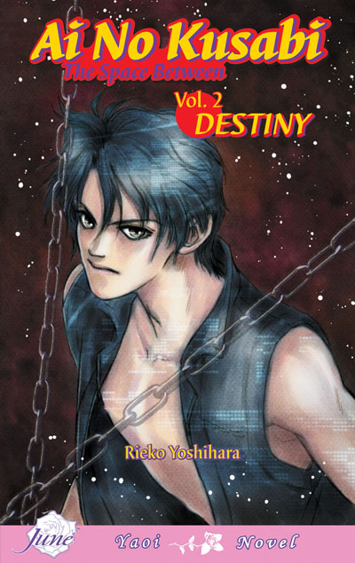 Ai no Kusabi Vol.2: Destiny (Yaoi Novel)