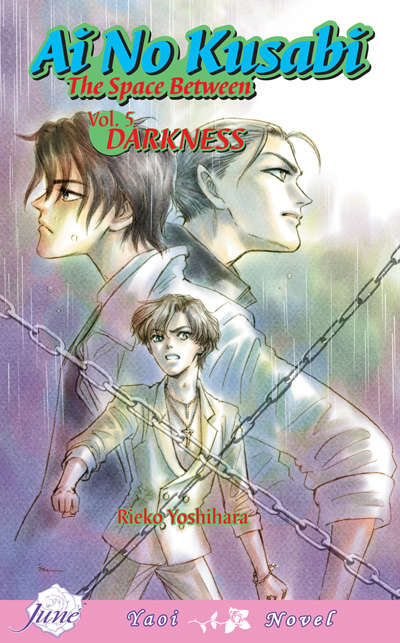 Ai no Kusabi Vol.5: Darkness (Yaoi Novel) [US]