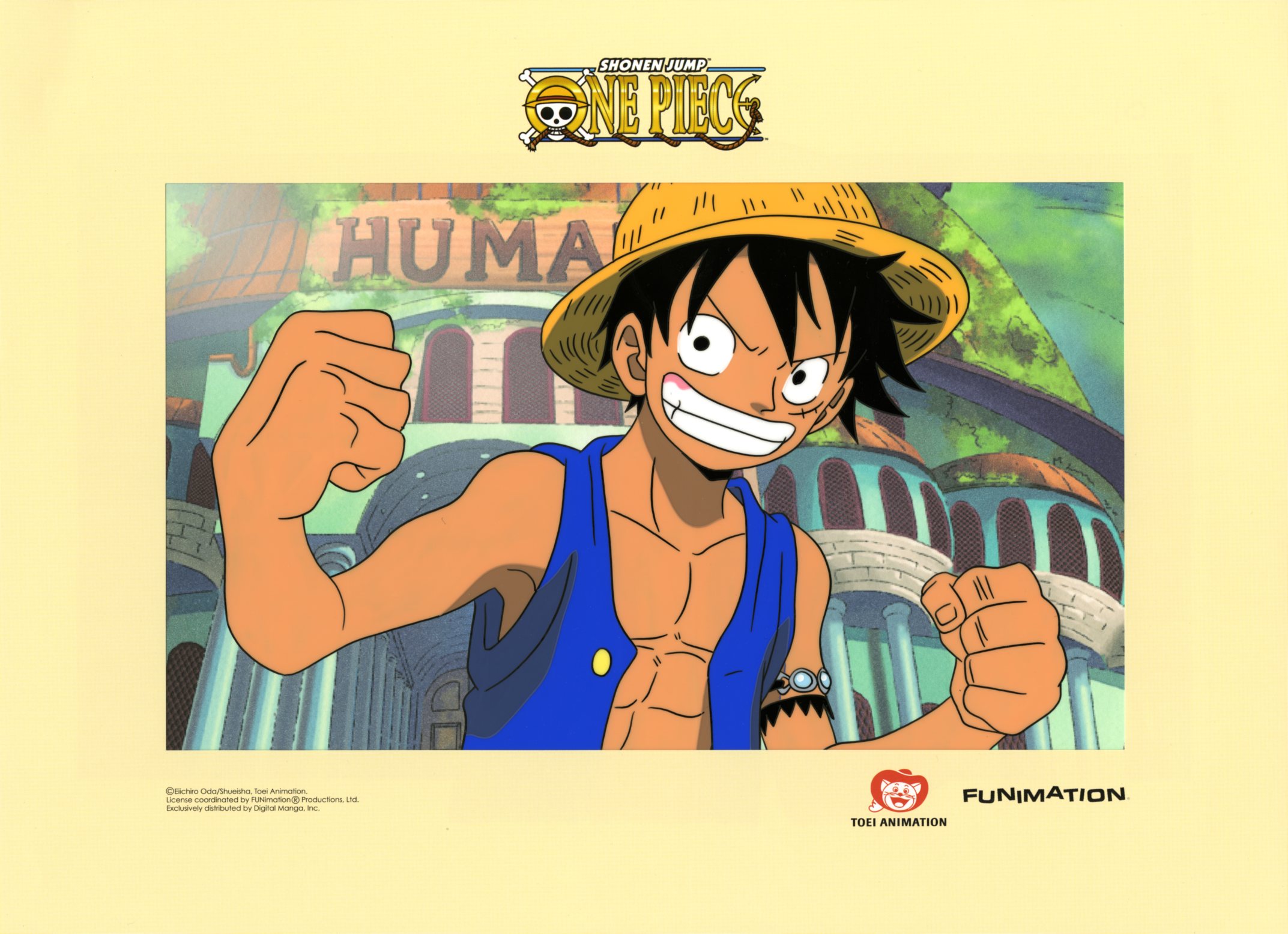 One Piece Cel: Monkey D. Luffy (A)