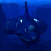 Shamu aka Blue Sub No. 6