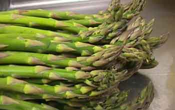 Asparagus, The Fabric of Our Lives