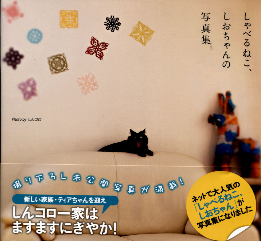 Talking Cat - Shiochan's Photobook 