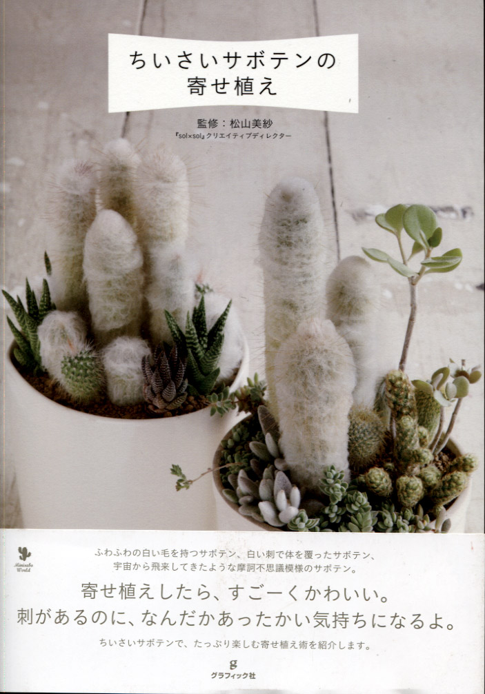 How to Grow Small Cactuses