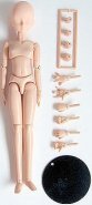 Obitsu Body 23cm Doll - Girl: White Skin